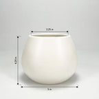 Kate Sleek Matte White Plant Pot Indoor, 5 Inch Pot - Image 7