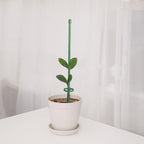 12 Inch Plant Support Stakes, - Image 2