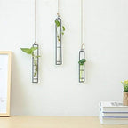 Aoderun Hanging Glass Planter Water Iron Art Hydroponic Vase Transparent Test - Image 5