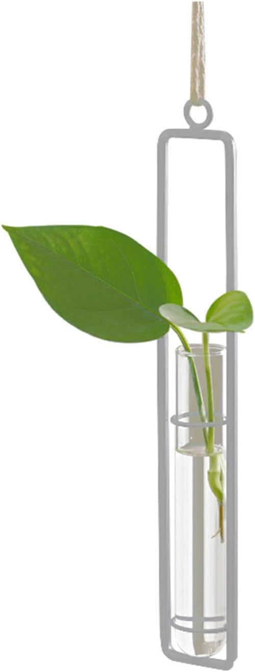 3 Pieces Hanging Plant Glass Test Tubes Hydroponic Vase Planters Wall-Mounted - Image 2