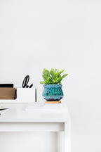 Cute Ceramic Succulent Garden Pots, Planter - Image 3