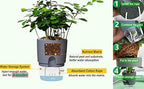 6/4.1/3.2 Inch Self Watering Planter Pots, 5 Pack African Violet Pots - Image 7