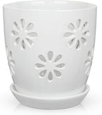 Oairse 6 inch Orchid Pots with Holes, Indoor Plant by Oairse