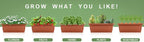 Suyncll Vertical Raised Garden Bed Planter Box, 5 Tiers Vertical Garden Planter - Image 9