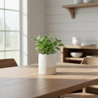 Nihow Self Watering Plant Pot: 4.5 Inch Ceramic Planter - Image 5