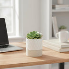 Nihow Self Watering Plant Pot: 4.5 Inch Ceramic Planter - Image 6