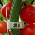 100PCS Plant Support Garden Clips Tomato Clips Supports/Connects - Image 3