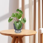 2024 Upgraded 5 Pack 6-Inch Self-Watering Planter Pots - Image 7