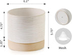 Nihow Ceramic Plant Pot: 6 Inch Planter - Image 2