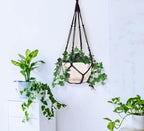 43 Inches Macrame Planter Hanger Large - Image 7