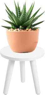 Samll Plant Stand Indoor/Outdoor - Image 7