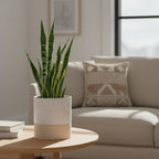 Nihow Self Watering Plant Pot: 6 Inch Ceramic Planter - Image 5