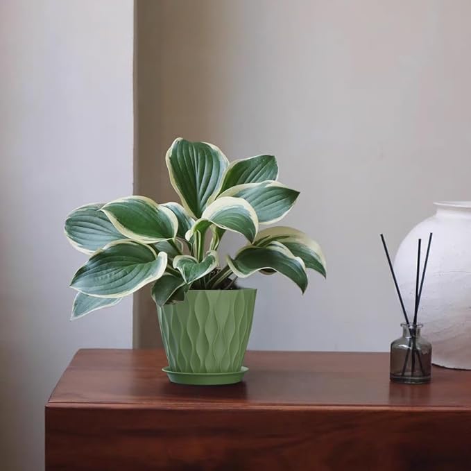 5 Inch Planter Pots, 6 Pack Indoor Planters, Small Flower Pots - Image 6