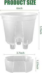 Cdd's Path 5-Pack 6 Inch Self Watering Naked Root Planter Pots - Image 2