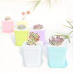 24 Pack 3inch Multi Color Square Plastic Plant Pots, Seedling Nursery - Image 6