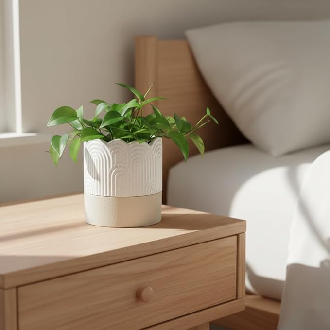 Nihow Self Watering Plant Pot: 4.5 Inch Ceramic Planter - Image 9