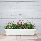 Root & Vessel Countryside Flower Box Planter - Image 3