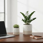 Nihow Self Watering Plant Pot for Indoor Plants: 4.5+6 Inch Ceramic Planter - Image 4