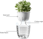 Self Watering Pots for Indoor Plants, Flower Pots, Self Watering Plant Pot-3pcs - Image 4