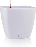 Dexceder 15x14 Self Watering Planter by Dexceder