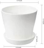 TDHDIKE 10 Pcs Plastic Planters Indoor Flower Plant Pots, Mini Flower Seedlings - Image 2