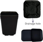 OJYUDD 24 Pack 3 Inch Black Nursery Pot Flower Pots Square Plastic Plant Pot - Image 3