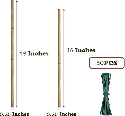 50PCS Plant Stakes, Natural Bamboo Stakes, Garden Stakes - Image 2