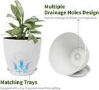 Plant Pots 8 Inch Set of 6, Flower Pots - Image 3