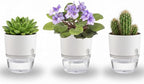 3.2 Inch Self Watering Planters Plastic Planter Pots 3 Pack Wicking Flower Pots by Thorkok