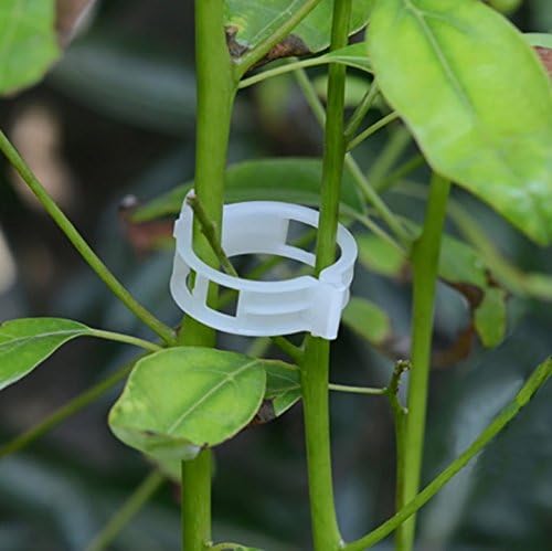 100PCS Plant Support Garden Clips Tomato Clips Supports/Connects - Image 7