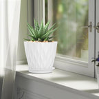 7 Inch Plant Pots 5 Pack, Flower Planters - Image 7