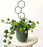 Plant Trellis for Climbing Plants Indoor, 15.94Inch Small Garden Metal - Image 8