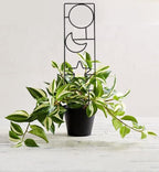 Plant Trellis for Climbing Plants Indoor, 15.94Inch Small Garden Metal - Image 9