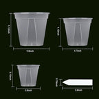 GREENPARA Transparent Plastic Planter 4/5 /6 inch Plant Nursery Pots - Image 2