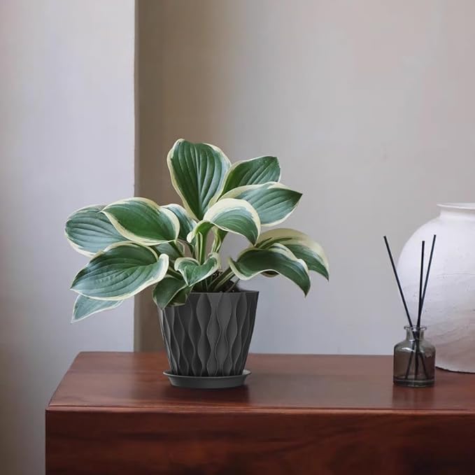 5 Inch Planter Pots, 6 Pack Indoor Planters, Small Flower Pots - Image 6