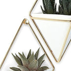 Umbra Trigg Hanging Planter Vase Wall Decor, Faux Plants, and More - Image 16