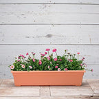 Root & Vessel 16305 Countryside Planter, Terracotta - Image 3