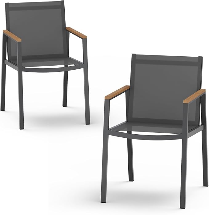 Outdoor Dining Chairs Set of 2, Aluminum Patio Dining Chairs by Oasbira