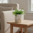 Nihow Self Watering Plant Pot: 6 Inch Ceramic Planter - Image 4