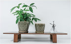 Docrin Dark Green Ceramic Planter Set - Image 4