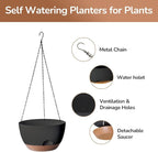 Hanging Planter for Indoor Plants, 10 Inch Self-Watering Hanging Planters - Image 4
