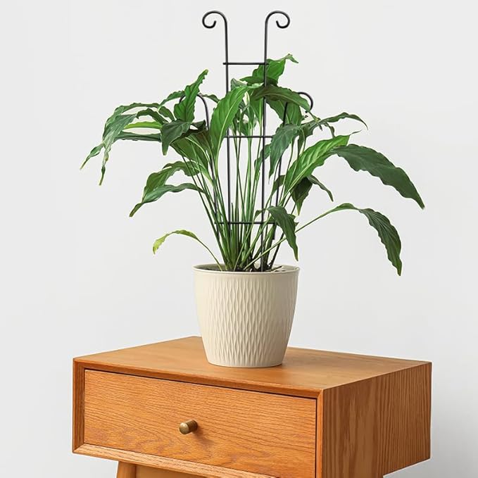 Coomin 23in Taller Plant Trellis - Image 6