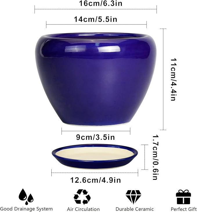 6 Inch Plant Pot - Image 3