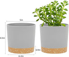 QCQHDU 5 inch Plant Pot, 2 Pack Planters - Image 2
