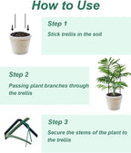 Small Plant Trellis for Climbing Plants Indoor - Image 7