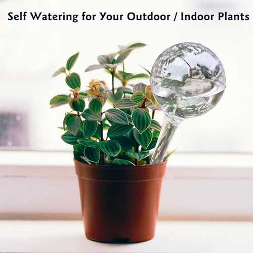 10pcs Plant Watering Devices, Planter Self Watering Globes - Image 2