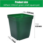Square Nursery Succulent Pots 4 Inches 60 Pcs Deep Flower Plant Nursery - Image 2