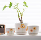 Ton Sin Plant Pots, 4+5+6 inch Pots - Image 5