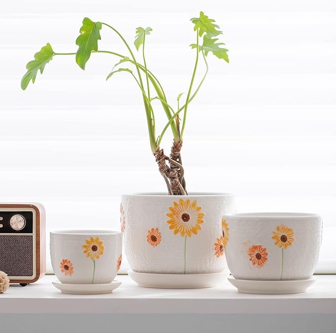 Ton Sin Plant Pots, 4+5+6 inch Pots - Image 5