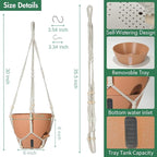 Self-Watering Hanging Planters for Indoor Plants Set 2-Piece Includes Plant - Image 3